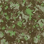 Bio Static Digital camouflage