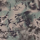China Lake camouflage
