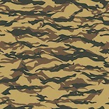 Desert Cat camouflage