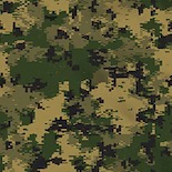 Forest Digital camouflage