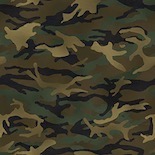Modern Woodland camouflage