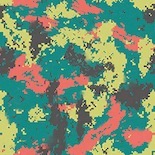 Petri Digital camouflage
