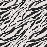 Wild Zebra camouflage