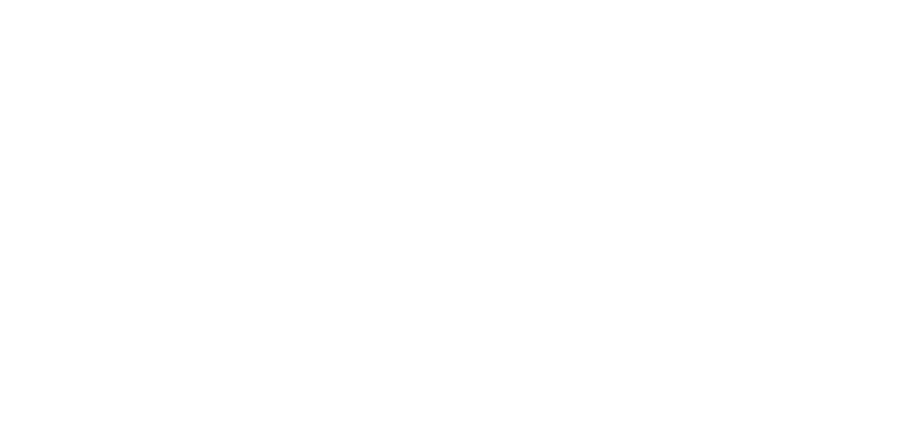 XM325