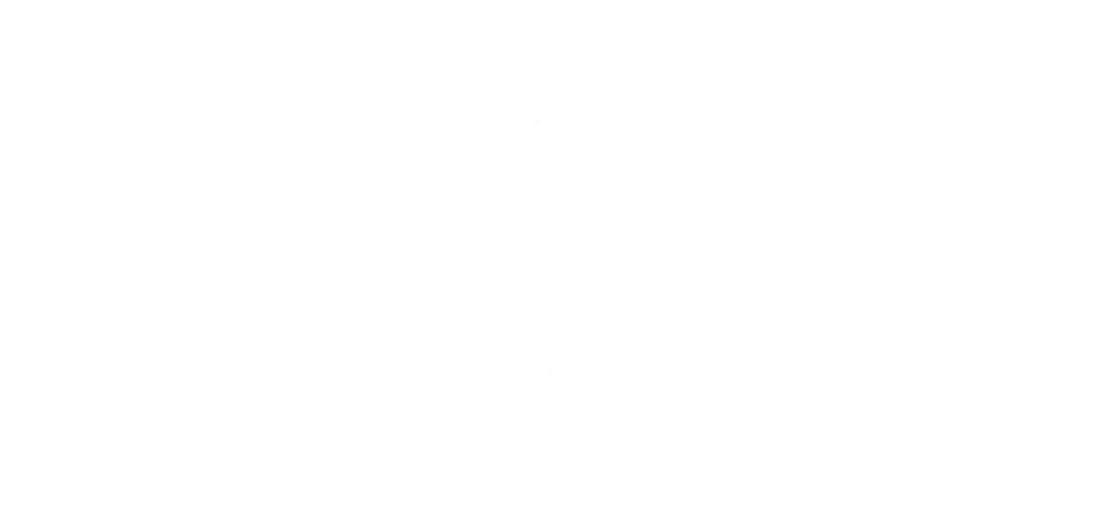 VX COMPACT