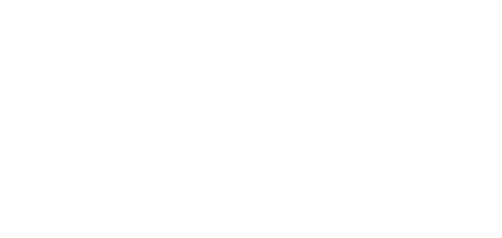 AN-94